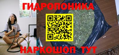 молекула духа Камышлов
