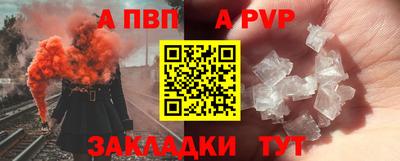 молекула духа Камышлов