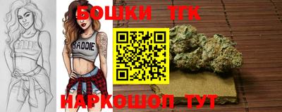 молекула духа Камышлов