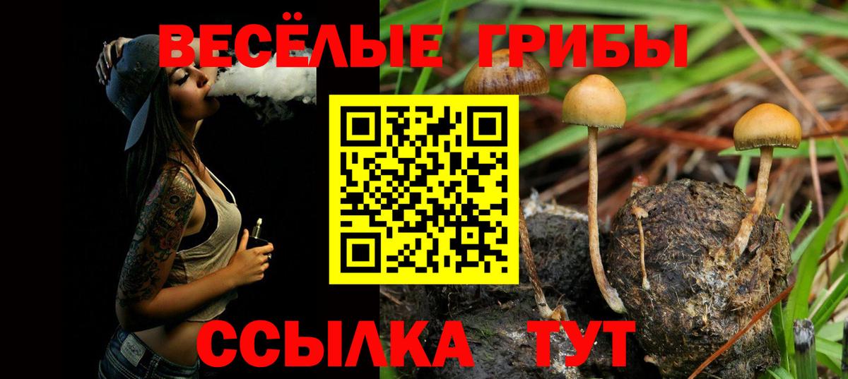 Псилоцибиновые грибы GOLDEN TEACHER Барабинск