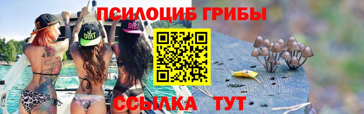 Галлюциногенные грибы Cubensis  Вход с VPN  Барабинск  Галлюциногенные грибы Cubensis 